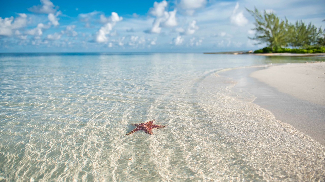 Photo of Others in Rum Point