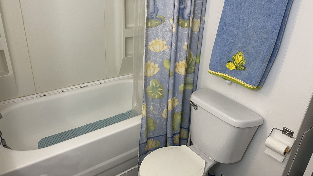 Photo of Bathroom in Bluff