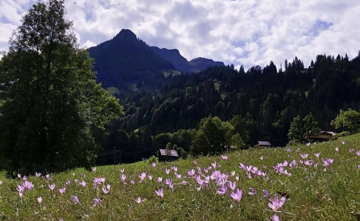 Photo of Outdoor in Zweisimmen Nr Gstaad