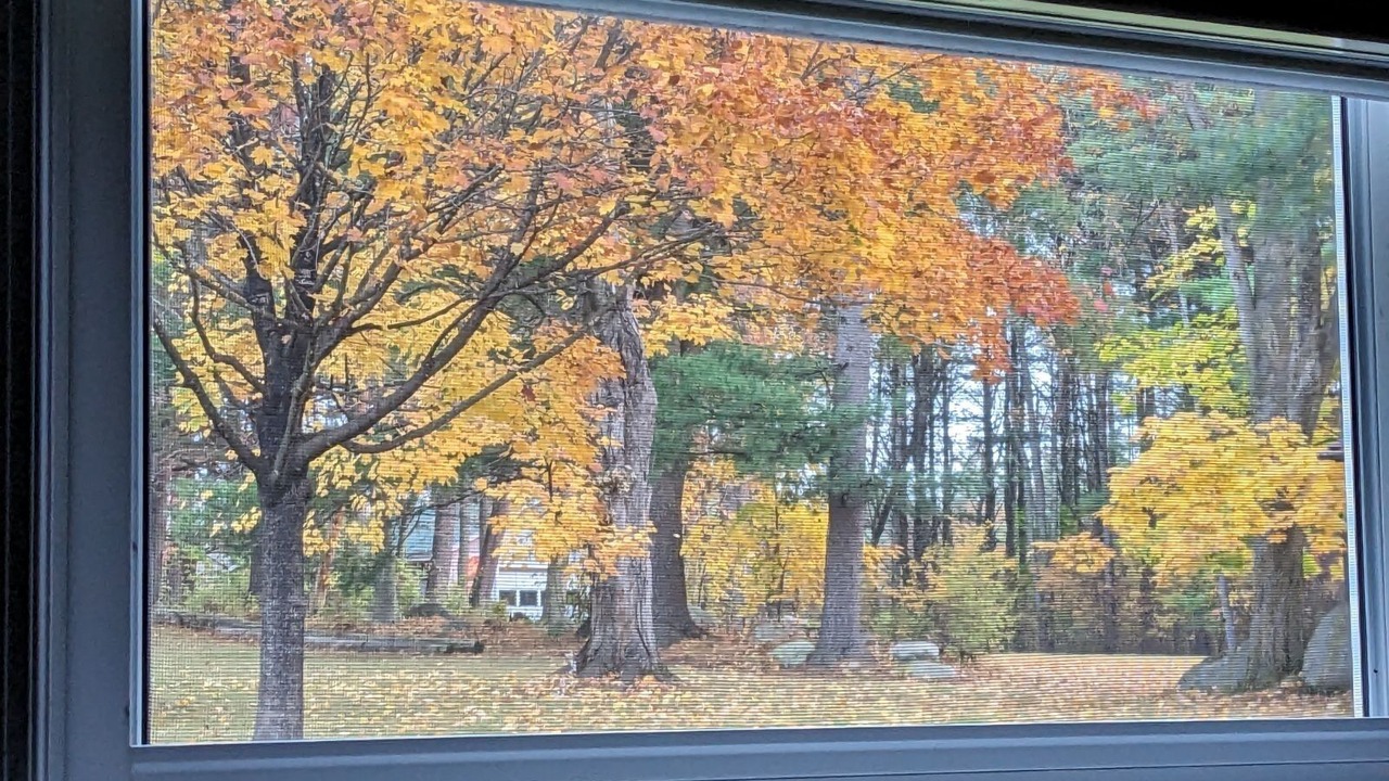 Photo of Others in Gloversville