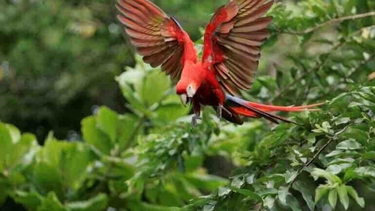 Photo of Outdoor in Jaco
