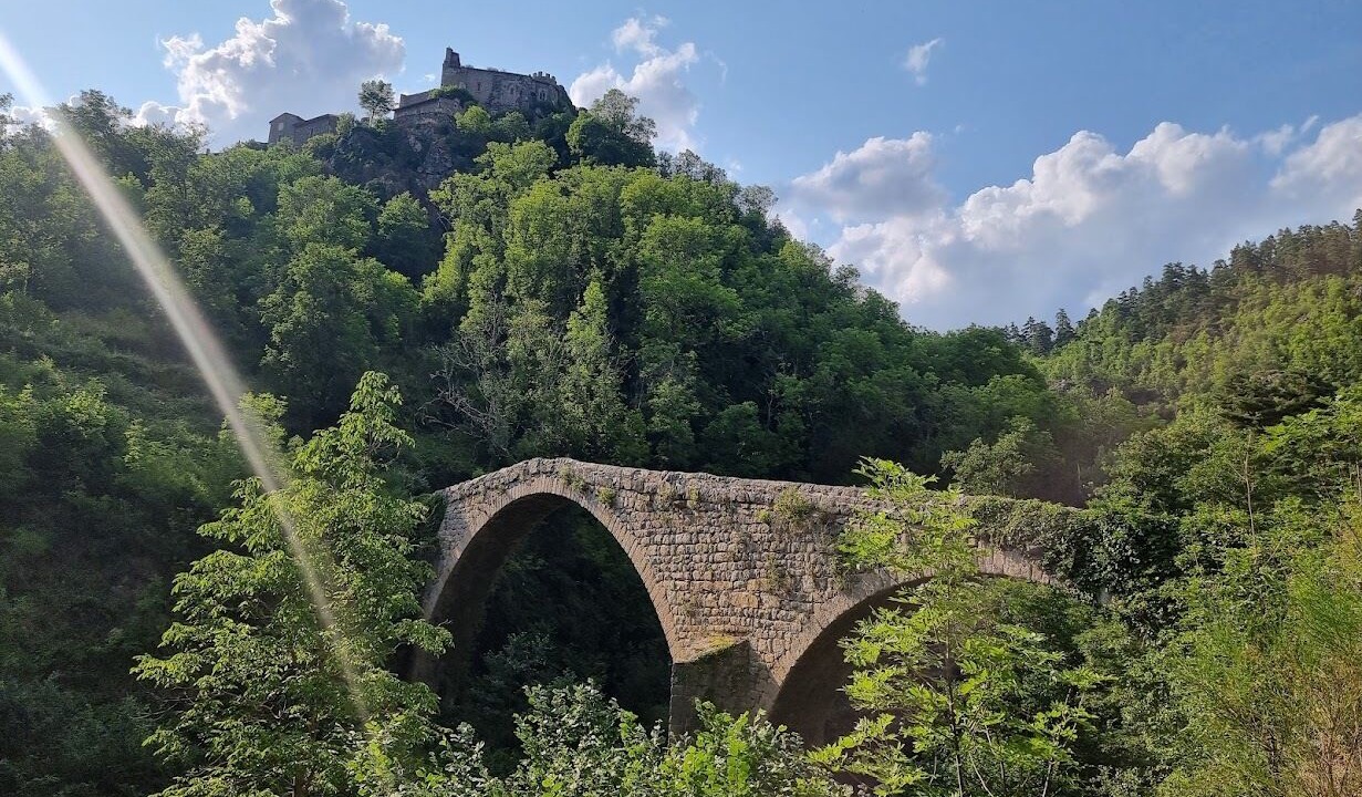 Photo of Outdoor in Usson-en-Forez