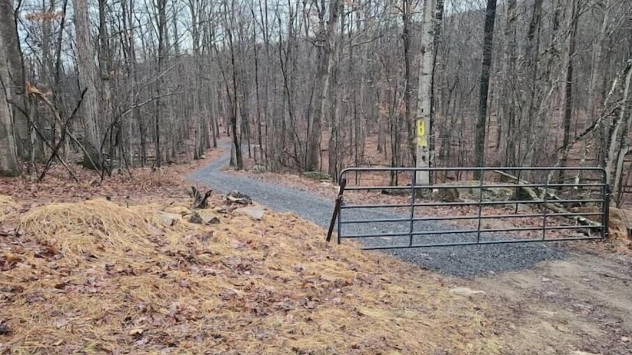 Photo of Others in Great Cacapon