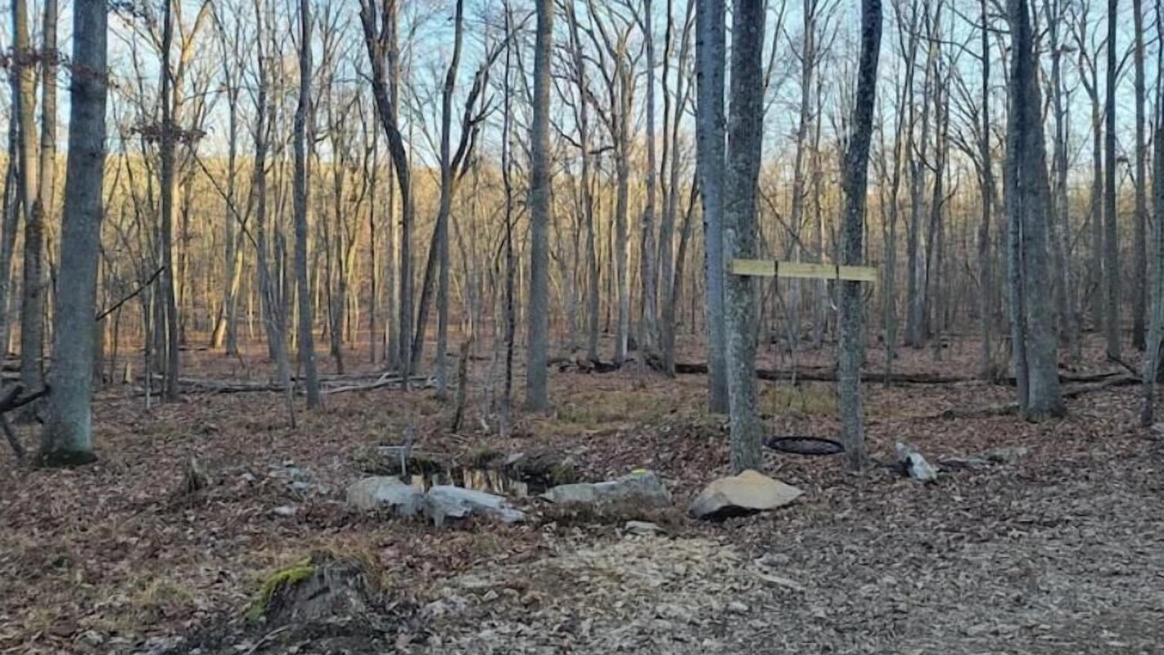 Photo of Outdoor in Great Cacapon