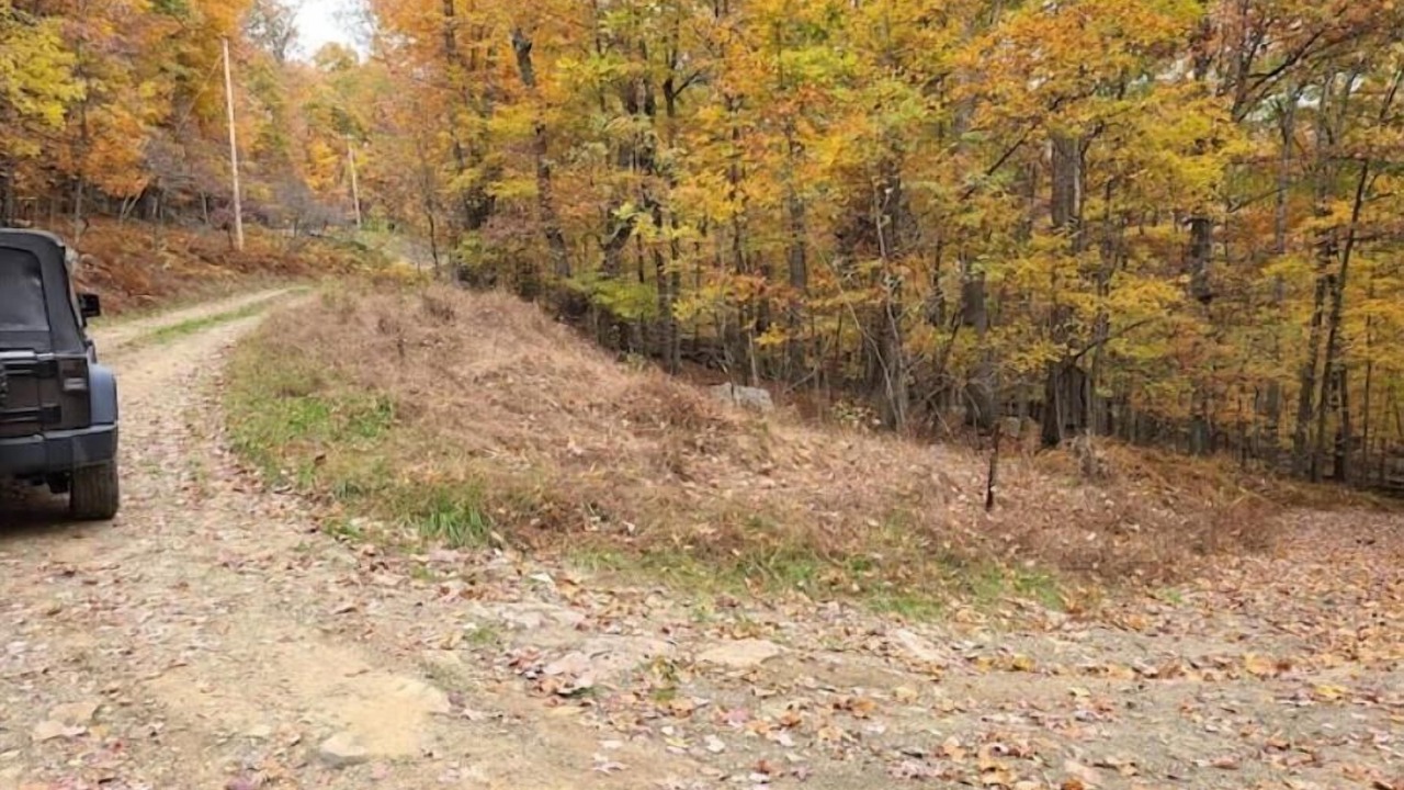 Photo of Outdoor in Great Cacapon