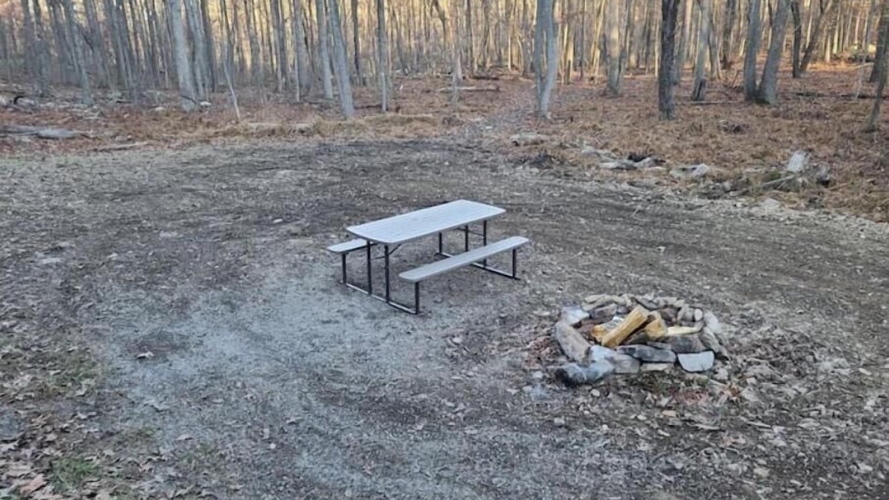 Photo of Outdoor in Great Cacapon