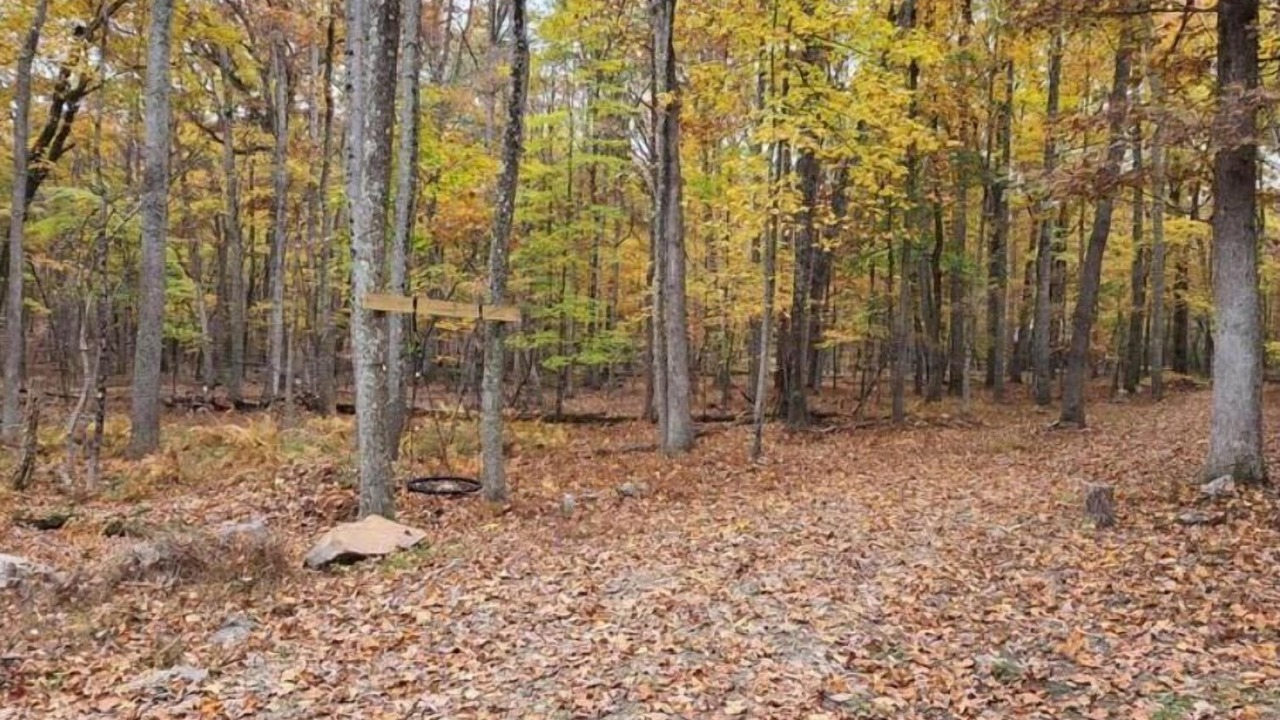 Photo of Others in Great Cacapon