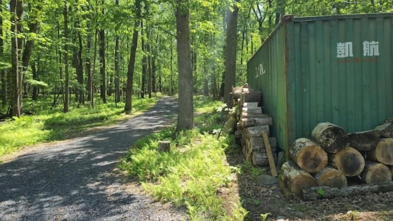 Photo of Outdoor in Great Cacapon