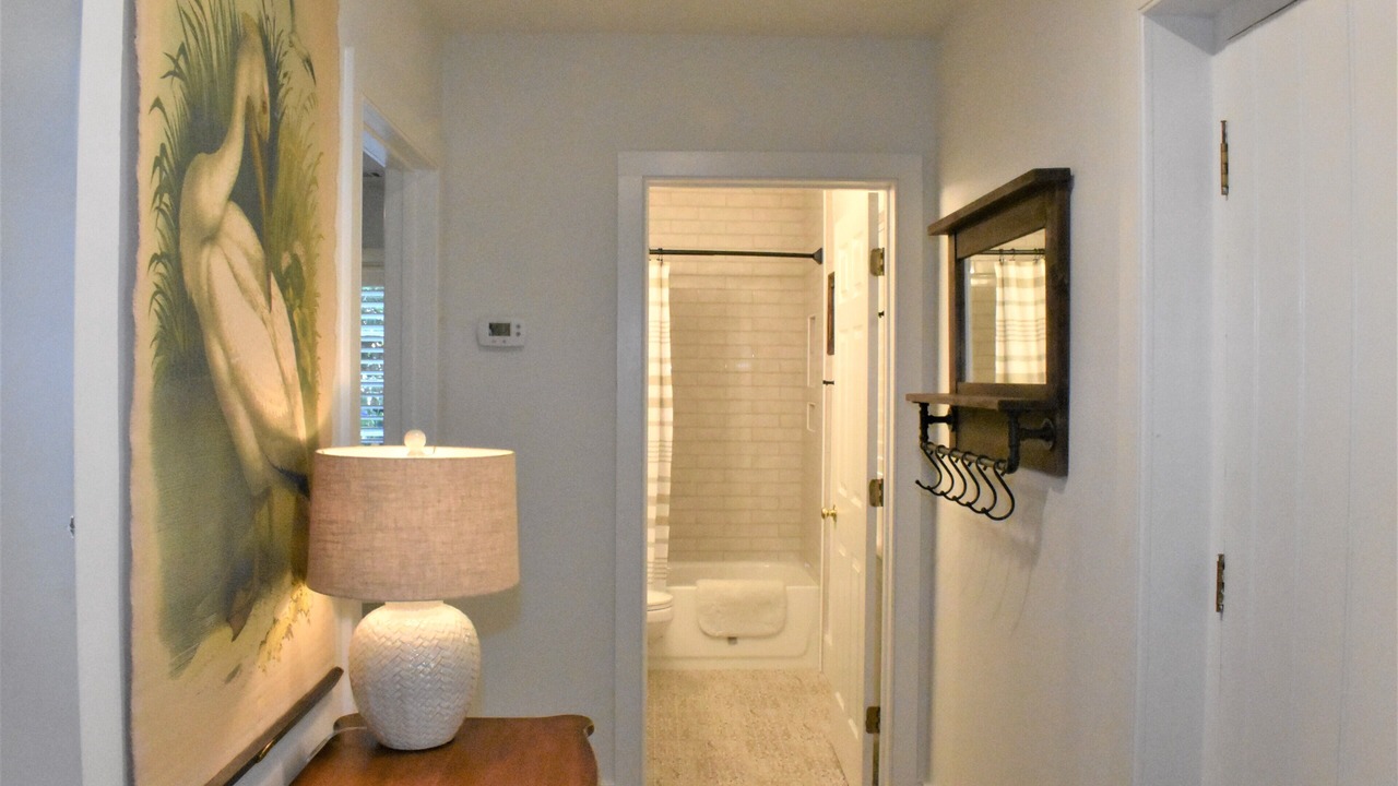 Photo of Bathroom in Charleston Historic District