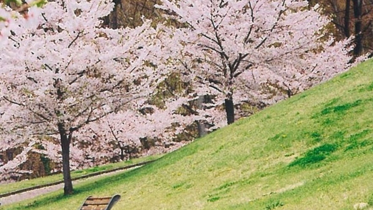 Photo of Others in Togura Kamiyamada Onsen
