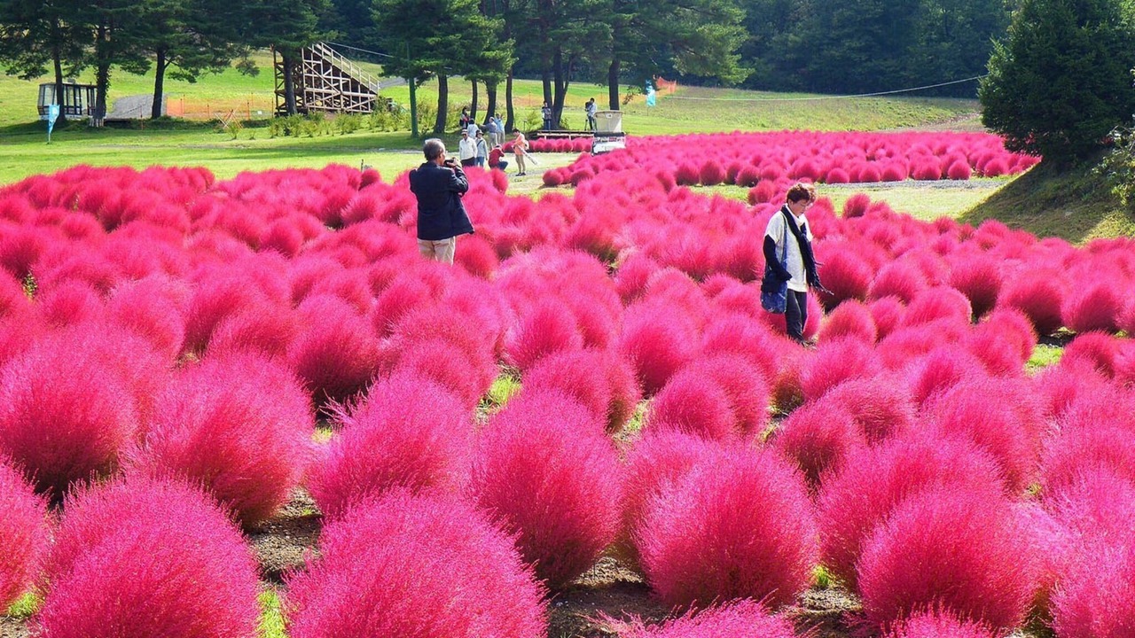 Photo of Outdoor in Gujo