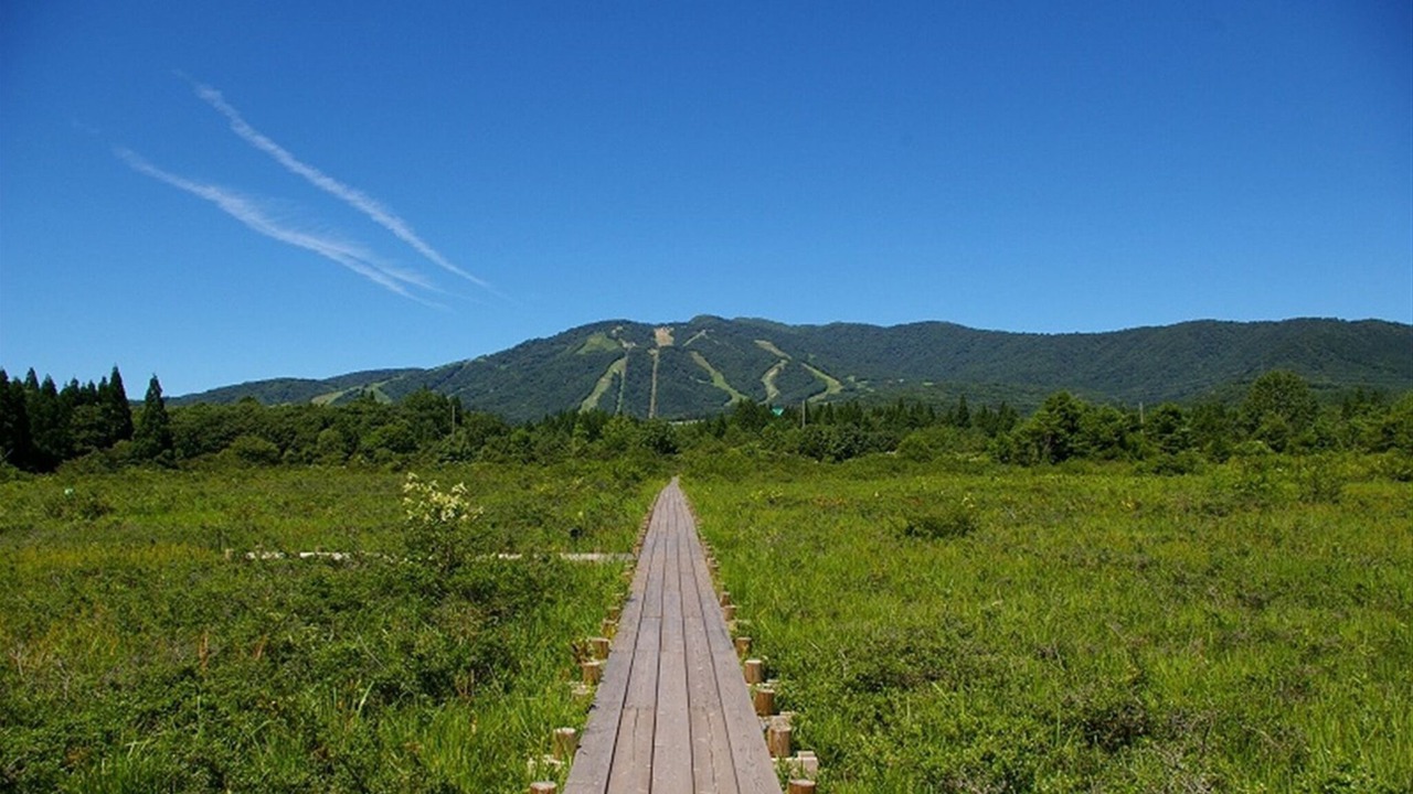 Photo of Outdoor in Gujo