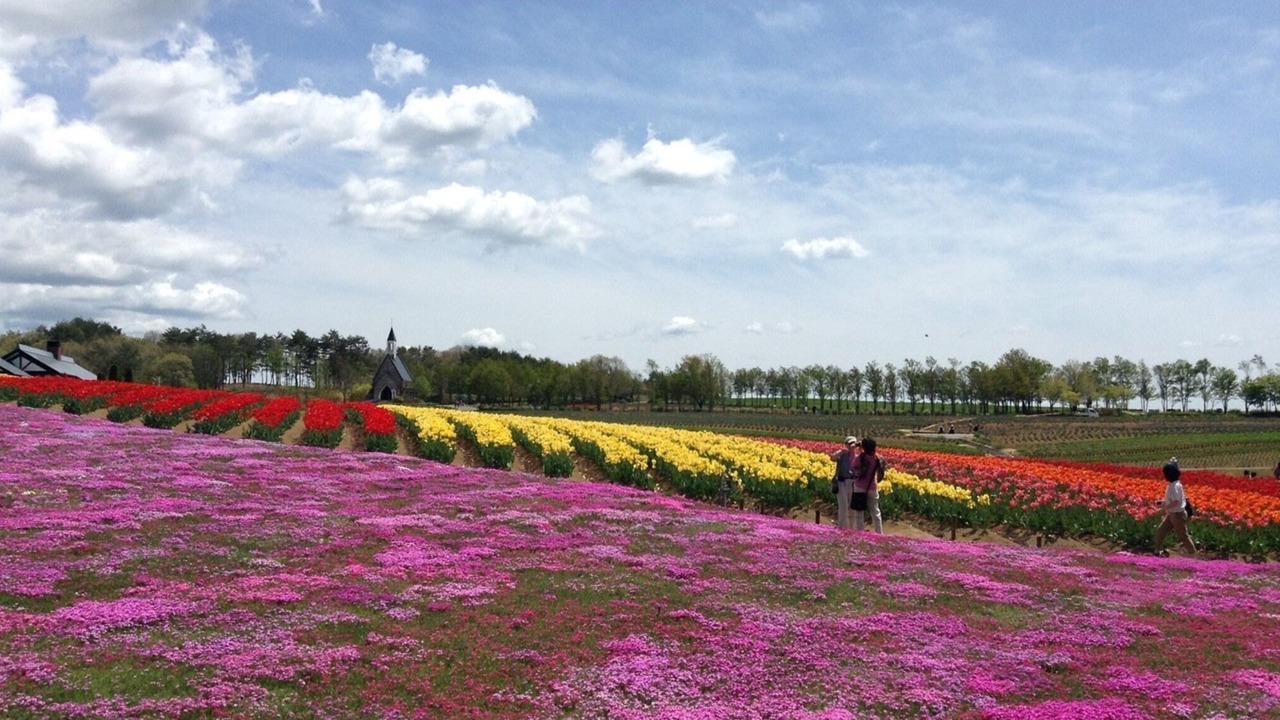 Photo of Outdoor in Gujo
