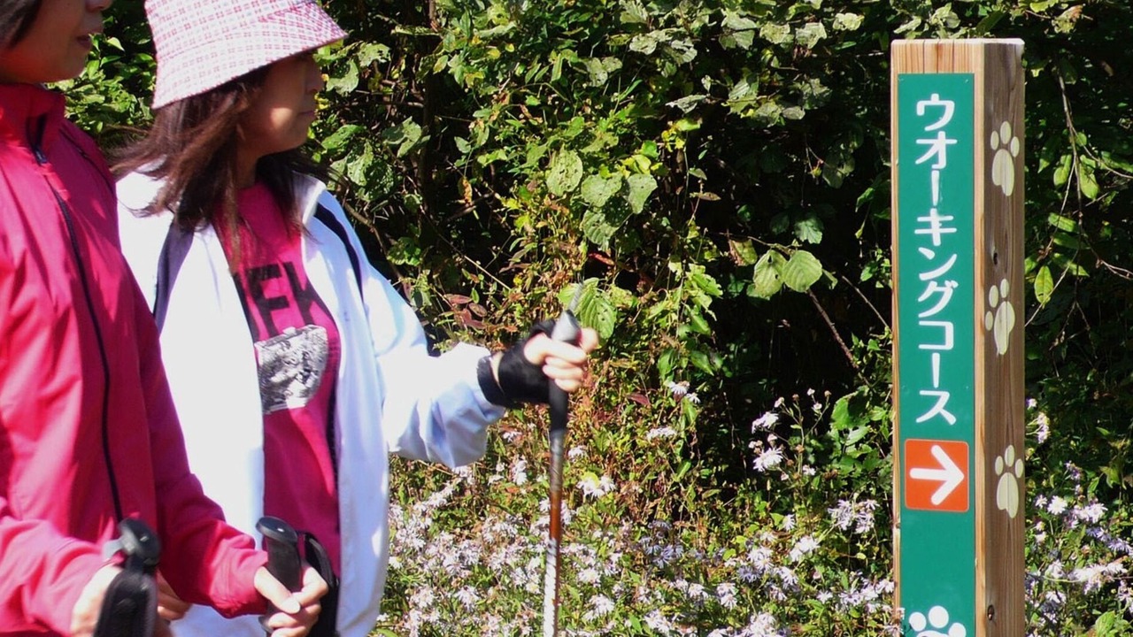 Photo of Outdoor in Gujo