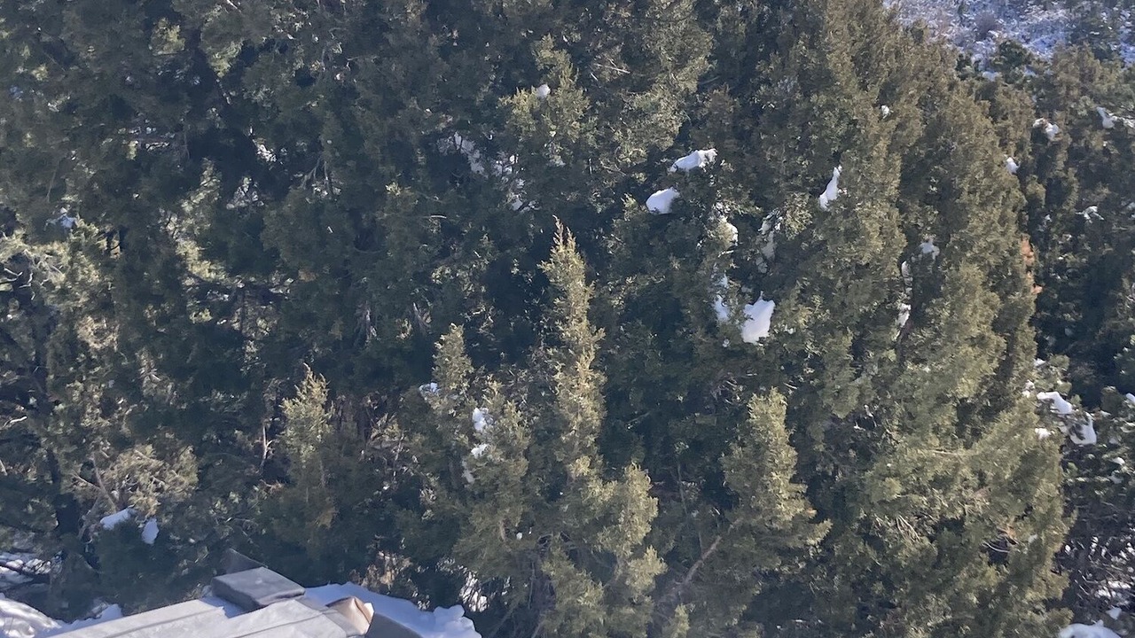 Photo of Others in Spanish Valley