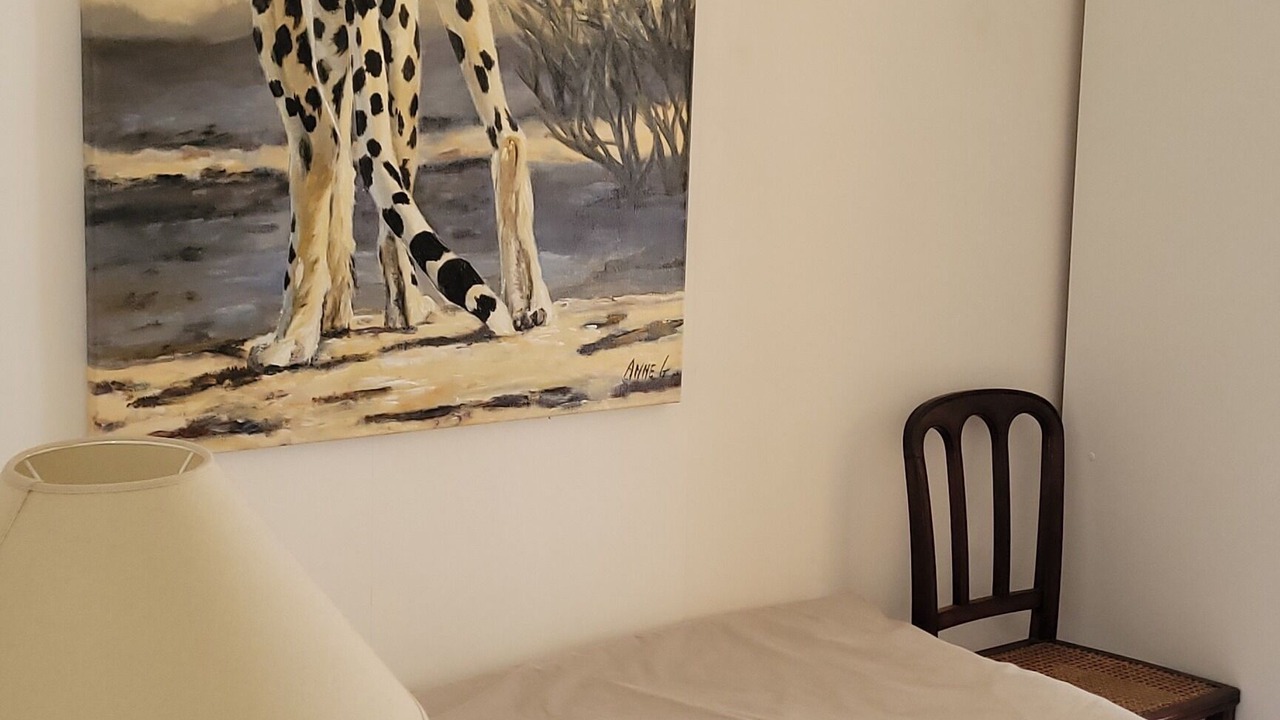 Photo of Bedroom in Notre-Dame