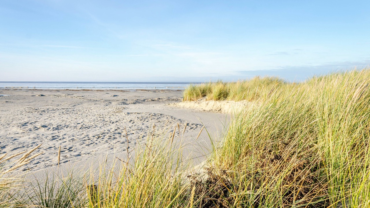 Photo of Others in Norddeich