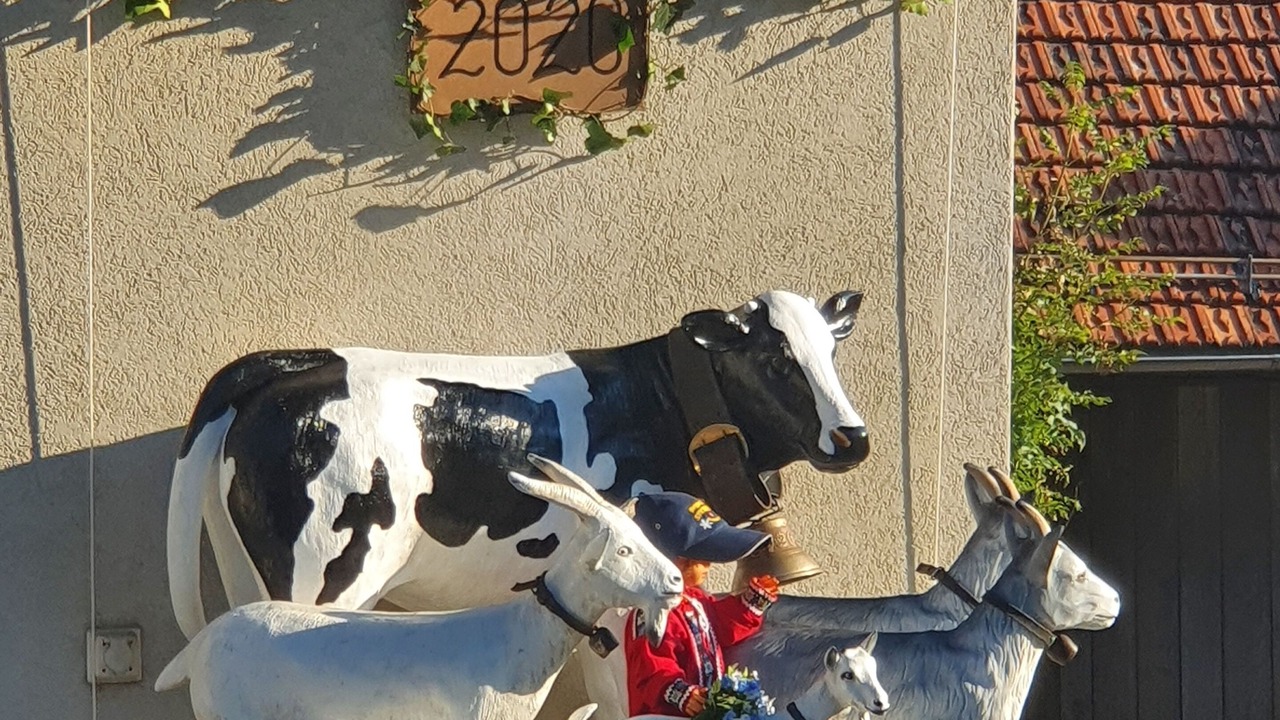 Photo of Outdoor in Emmetten