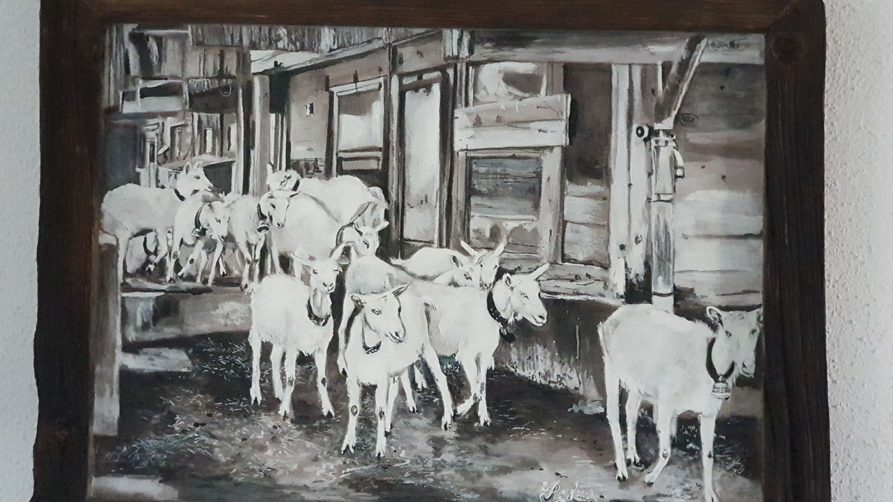 Photo of Others in Emmetten