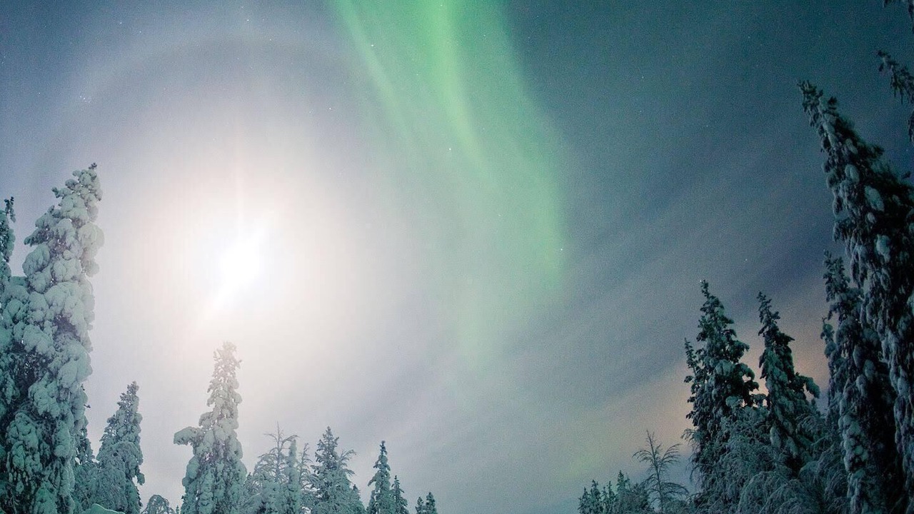 Photo of Others in Rovaniemi