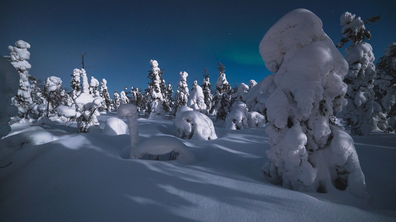 Photo of Others in Rovaniemi