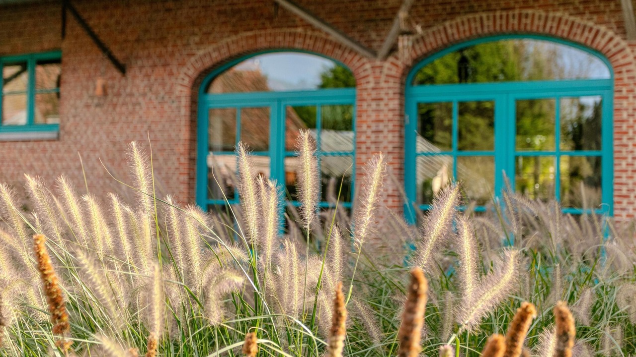 Photo of Outdoor in Merksplas