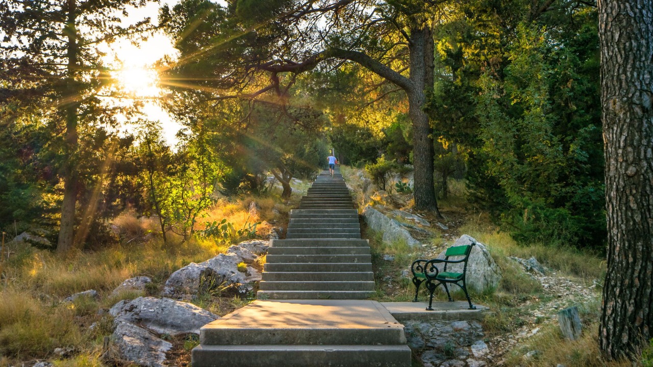 Photo of Others in Split