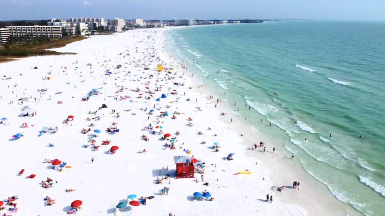 Photo of Others in Siesta Key