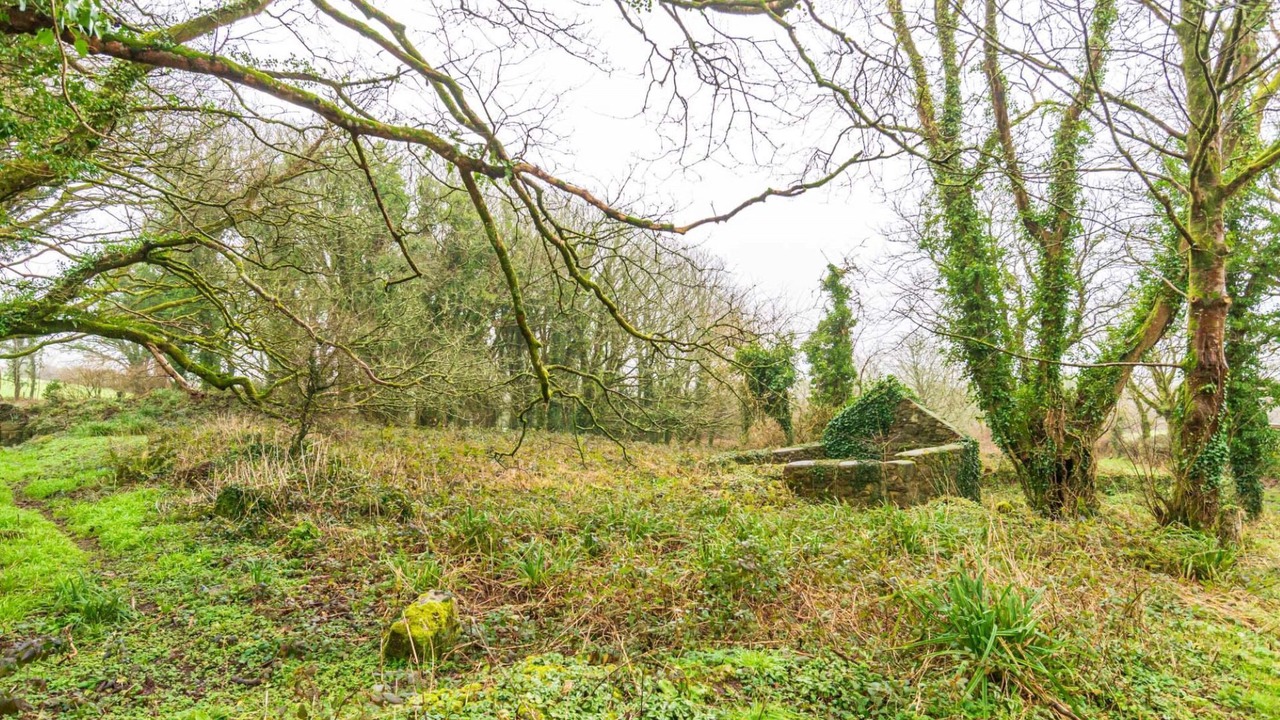 Photo of Outdoor in Helford Passage