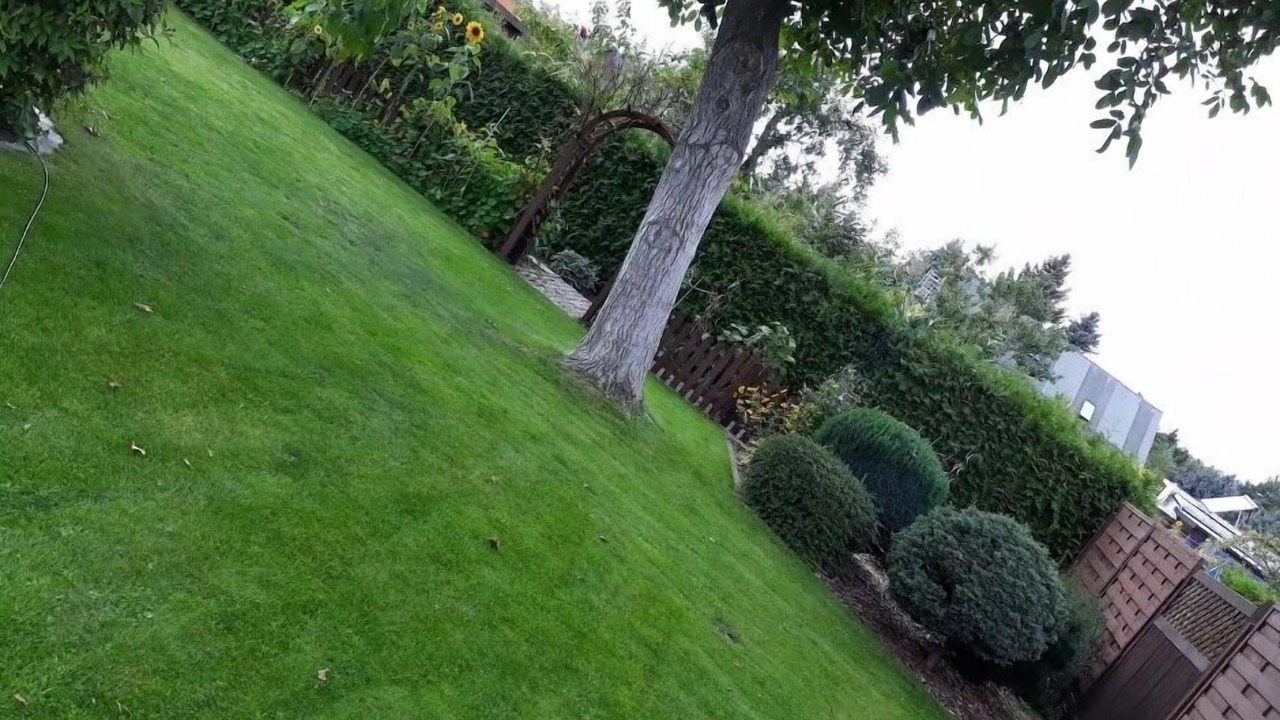 Photo of Outdoor in Peitz