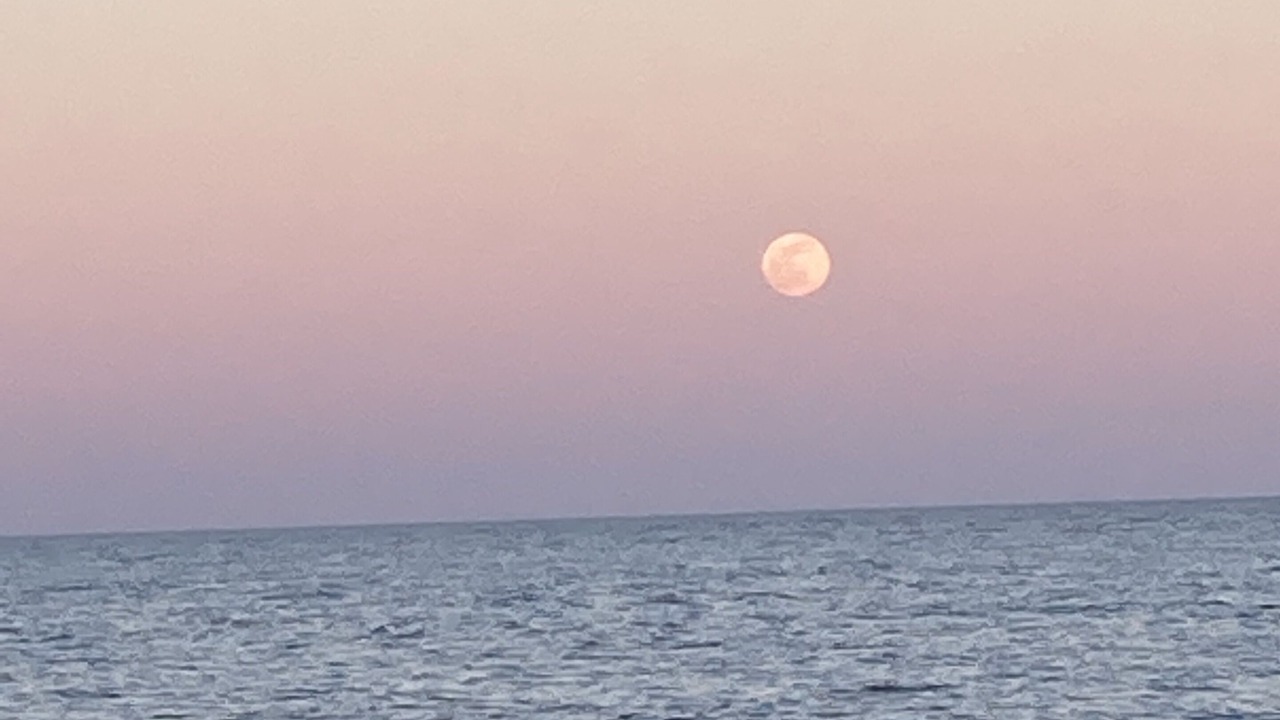 Photo of Others in Prime Hook Beach