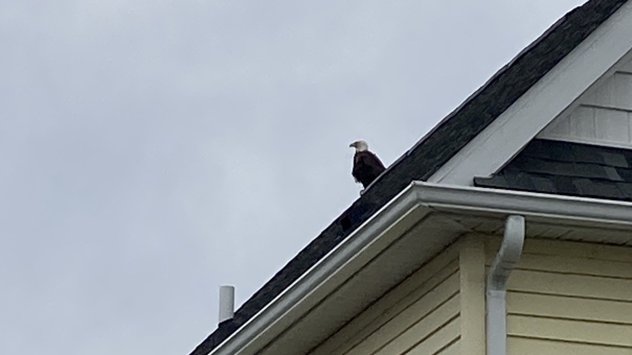 Photo of Outdoor in Prime Hook Beach