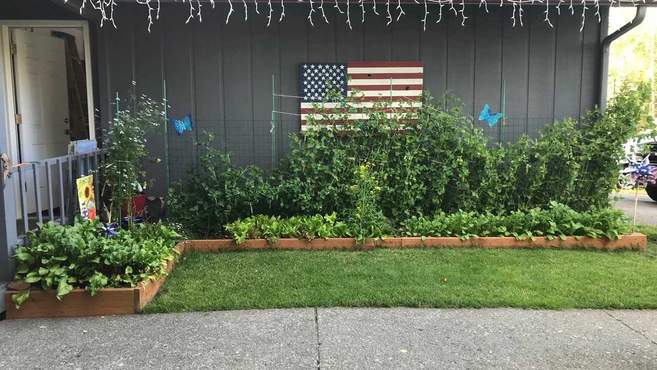 Photo of Outdoor in Eagle River