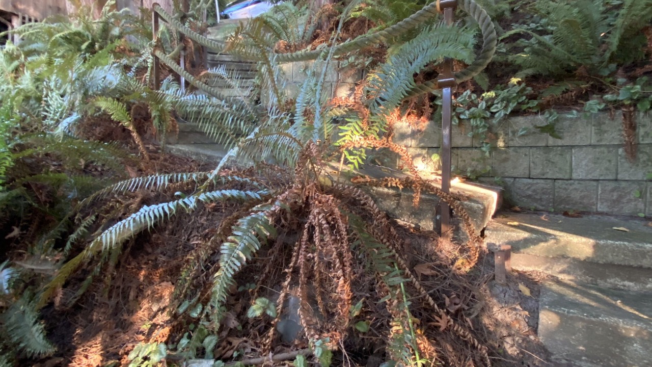 Photo of Outdoor in Harbour Pointe