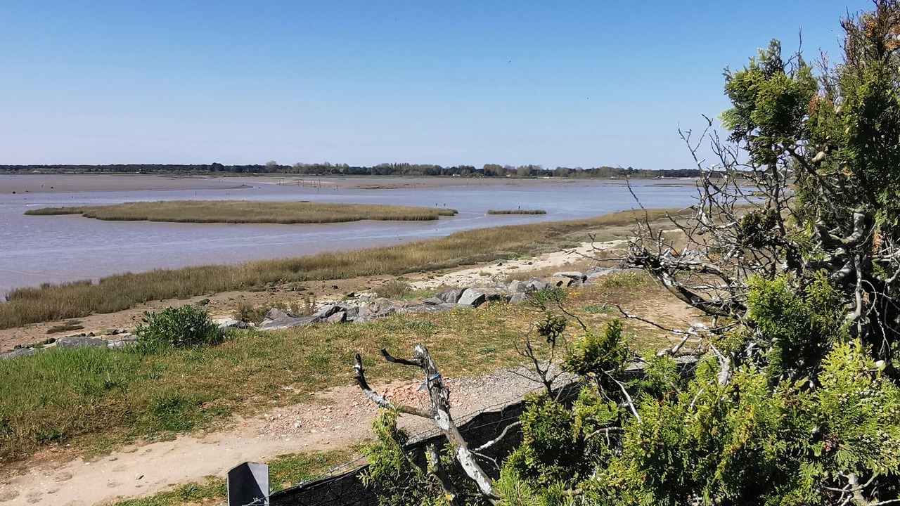 Photo of Others in LʼAiguillon-sur-Mer