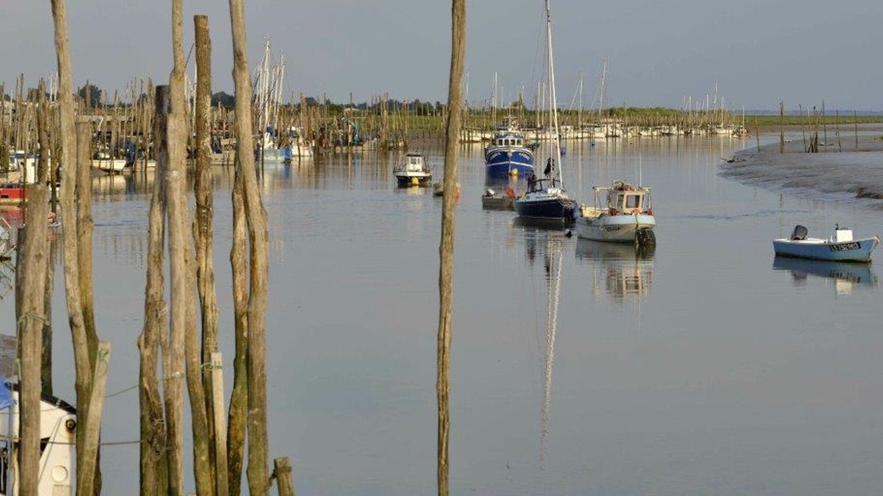 Photo of Others in LʼAiguillon-sur-Mer