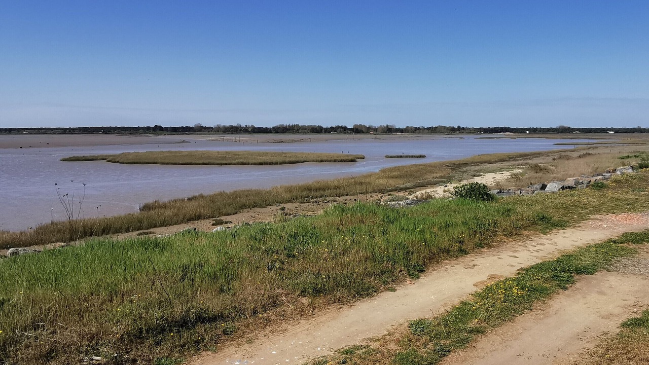 Photo of Others in LʼAiguillon-sur-Mer