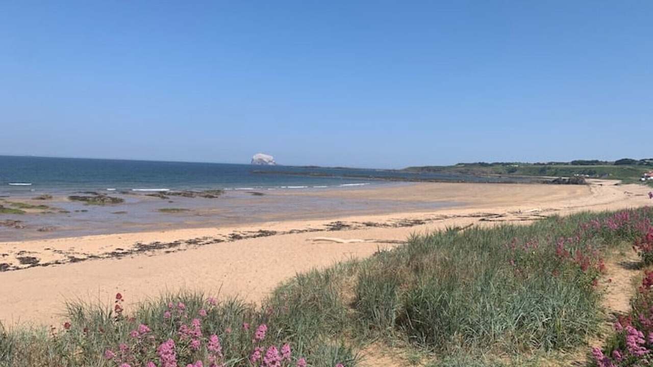 Photo of Others in North Berwick