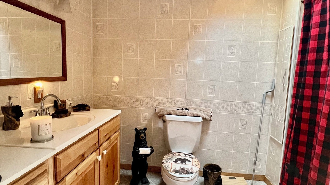 Photo of Bathroom in Manitou Beach