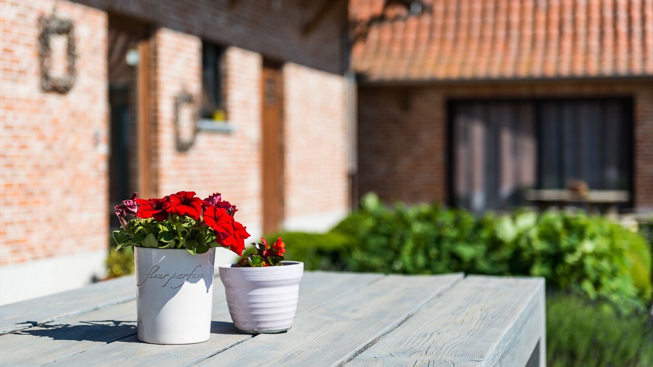 Photo of Outdoor in Sint-Gillis-Waas