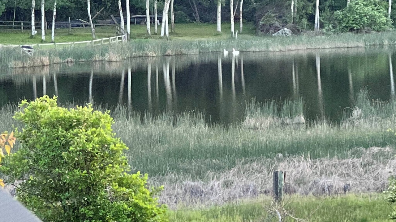 Photo of Outdoor in Somers