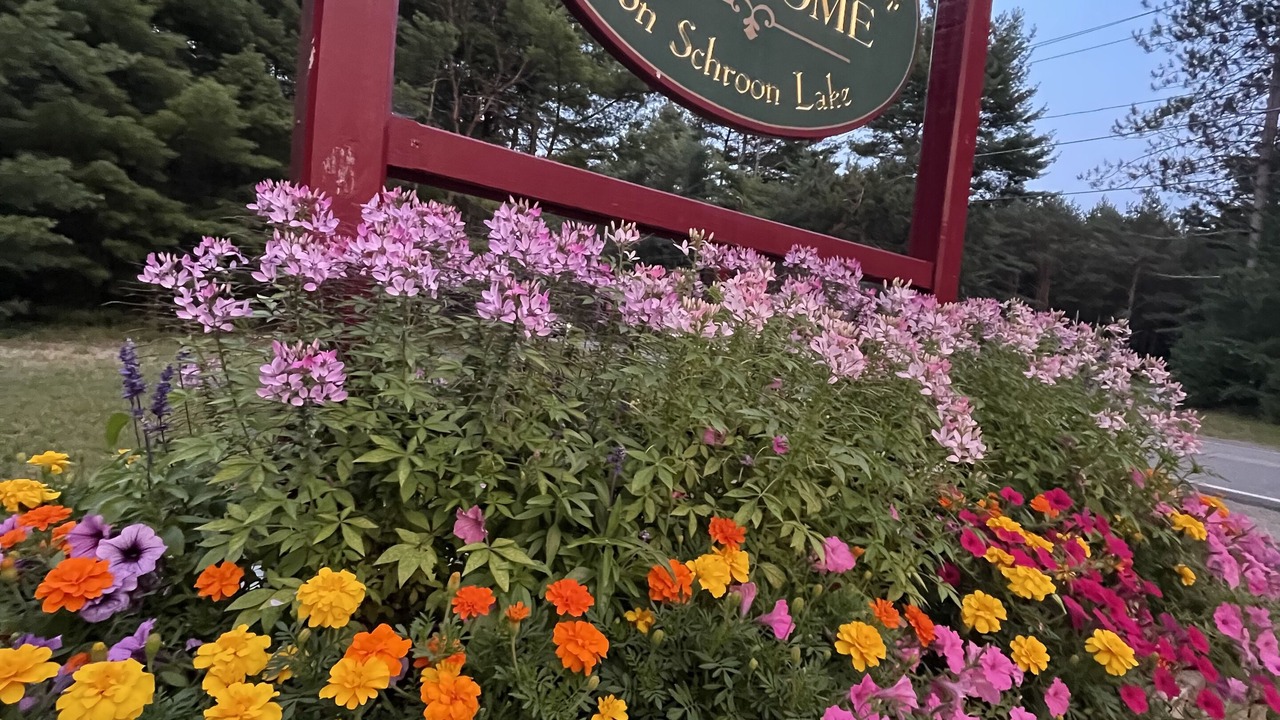 Photo of Others in Adirondack