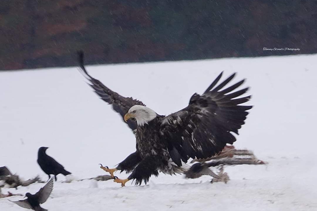 Photo of Others in Lake Arrowhead