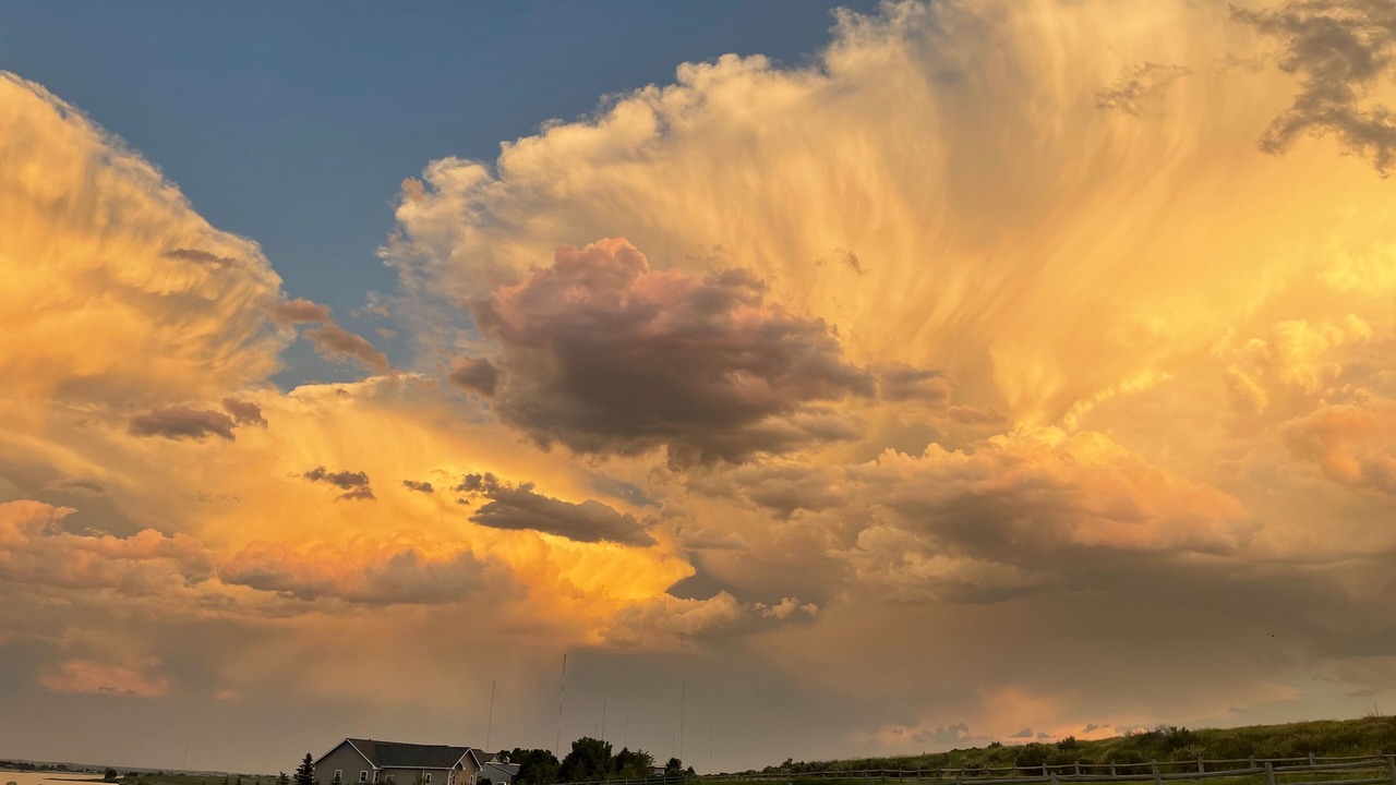 Photo of Others in Fort Collins