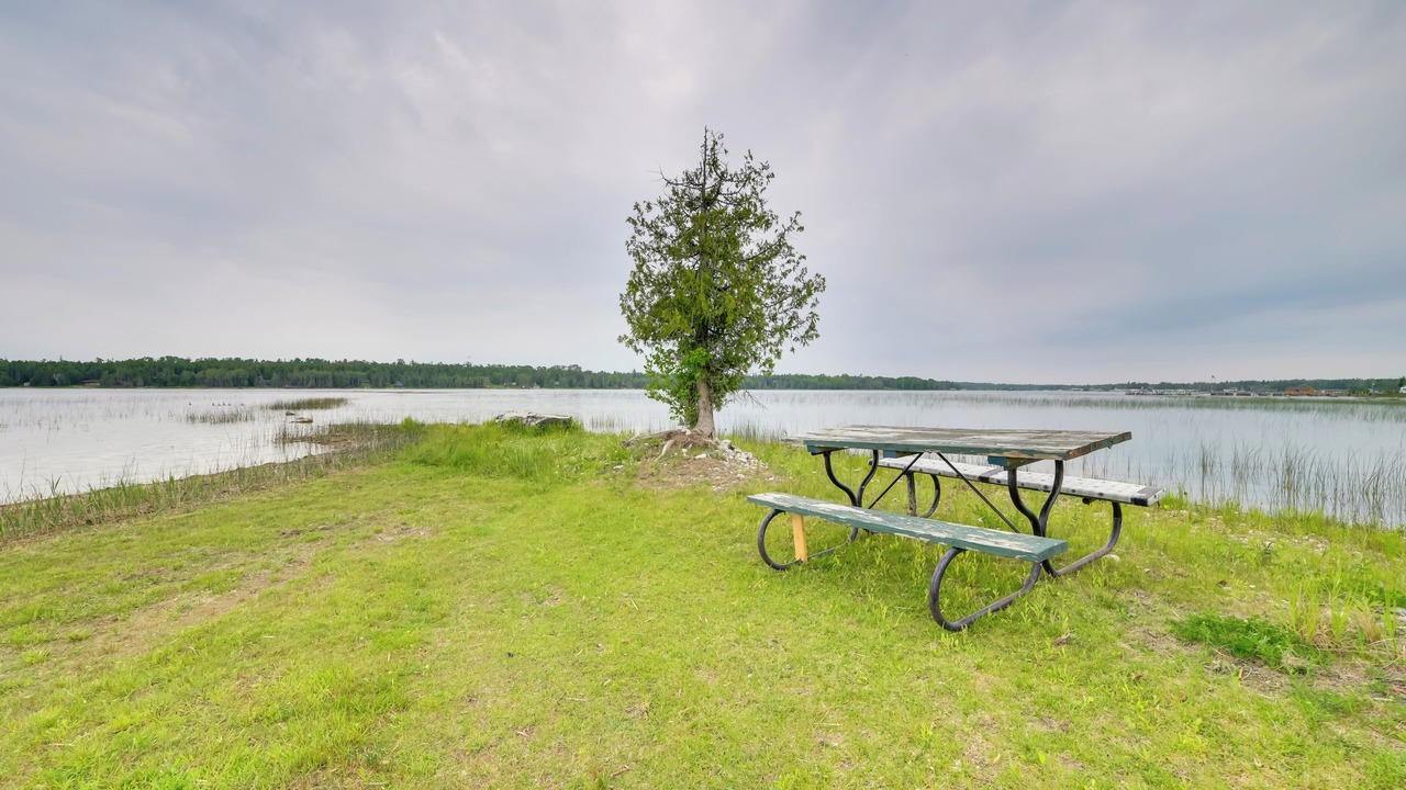 Photo of Outdoor in Cedarville
