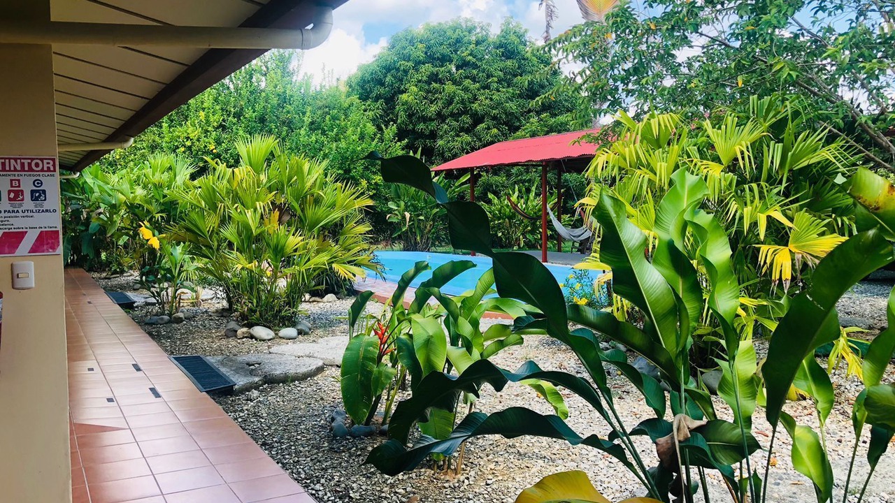 Photo of Outdoor in Sierpe