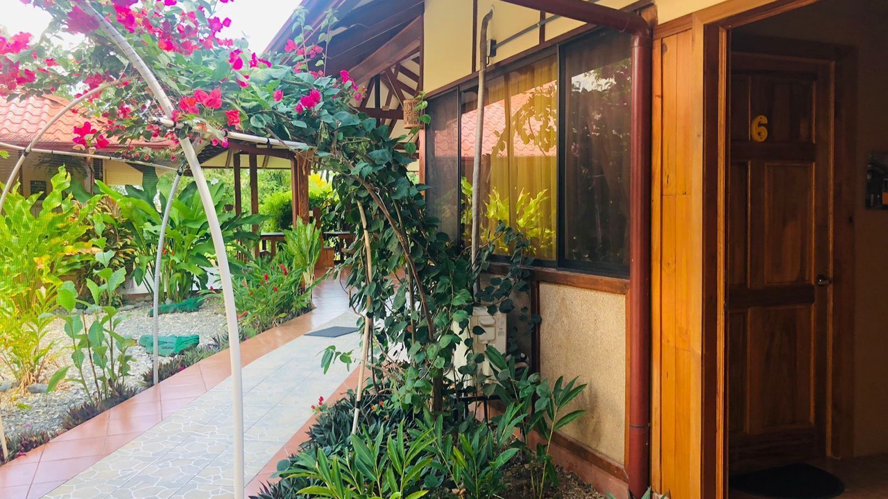Photo of Outdoor in Sierpe