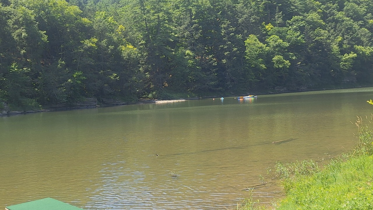 Photo of Others in Jersey Mills