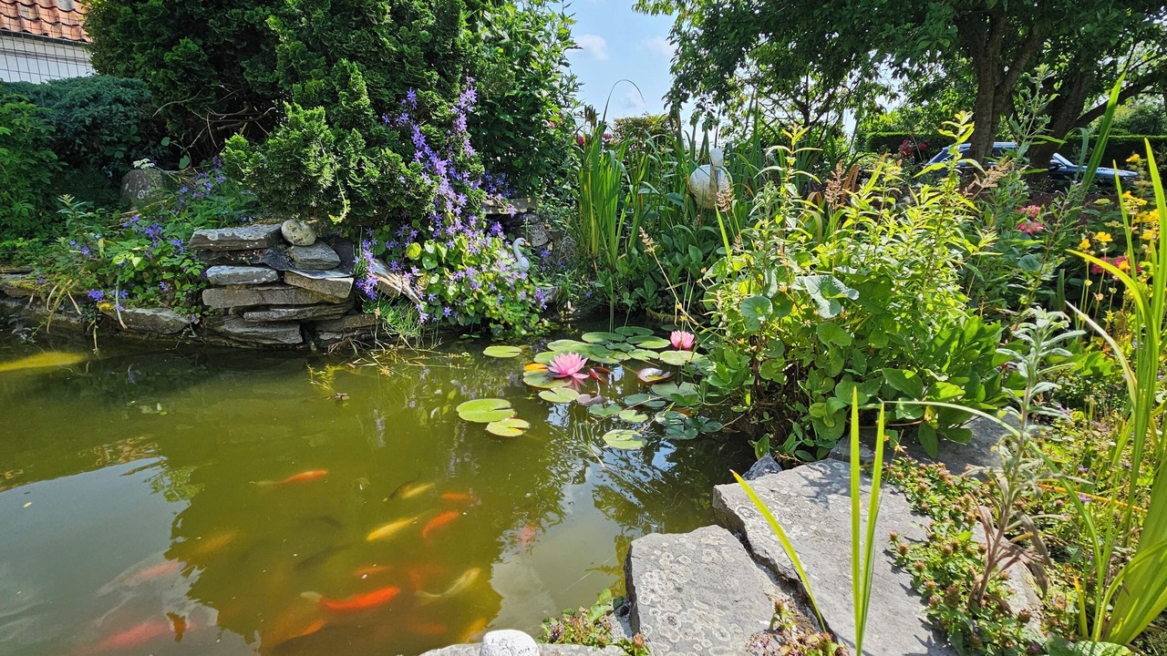 Photo of Outdoor in Lapscheure