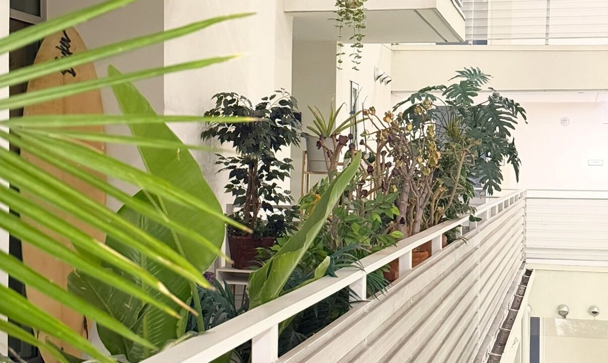 Photo of Outdoor in Hollywood